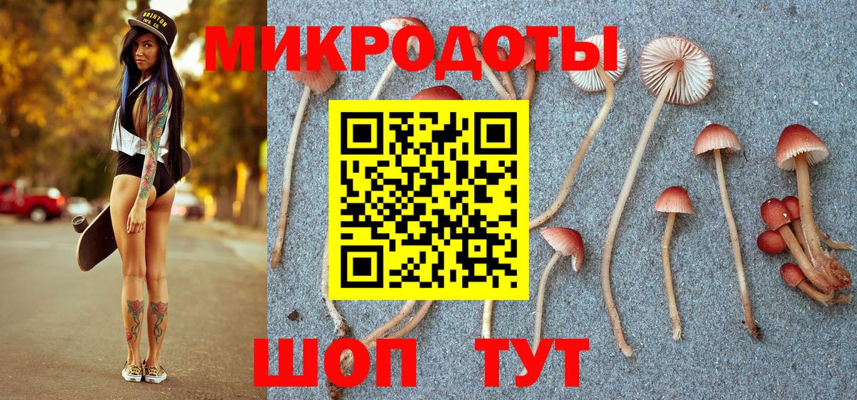 Камень-на-Оби  Псилоцибиновые грибы Psilocybe  Вход с VPN 