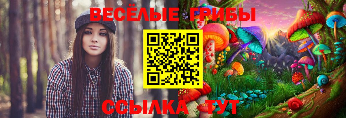 Псилоцибиновые грибы ЛСД  хочу   Камень-на-Оби 