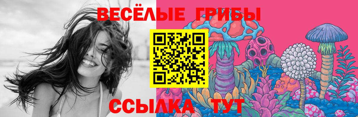 Псилоцибиновые грибы ЛСД Камень-на-Оби