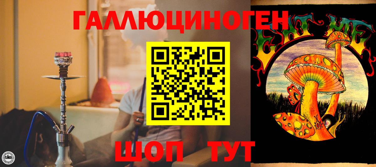 Псилоцибиновые грибы MAGIC MUSHROOMS Камень-на-Оби